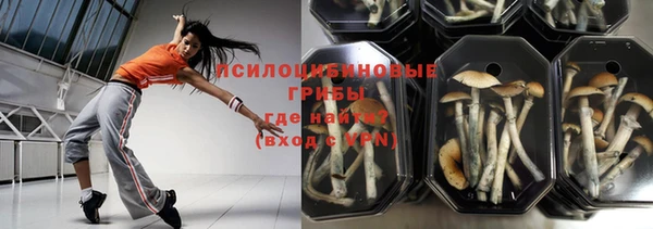 spice Кинешма