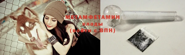 PSILOCYBIN Киренск