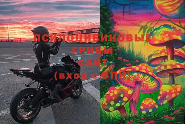 PSILOCYBIN Киренск