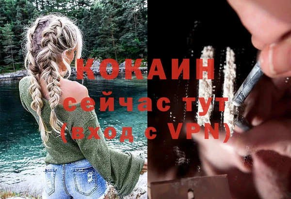 PSILOCYBIN Киренск