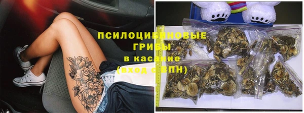 прущие крисы Козельск
