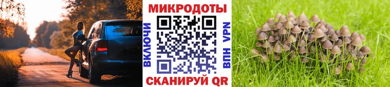 где купить наркоту Краснозаводск Псилоцибиновые грибы Psilocybine cubensis